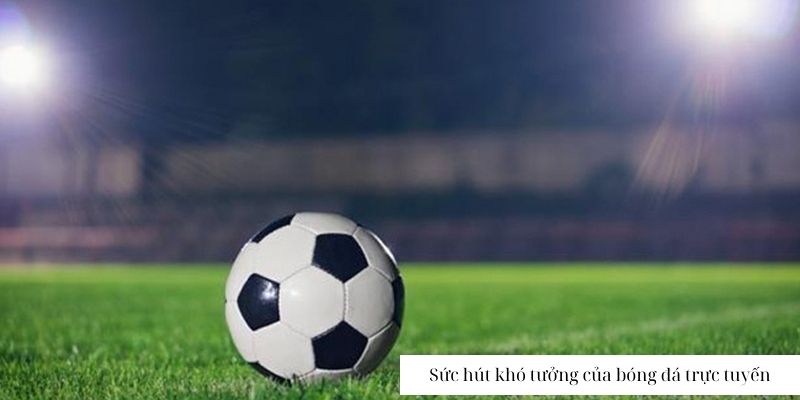Trực Tiếp Bóng Đá 88Goals - Trận Cầu Đỉnh Cao Không Rời Mắt 88Goals có gì đặc biệt để thu hút hàng triệu người chơi mỗi tháng?