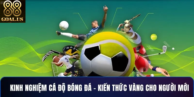 Hướng Dẫn Chi Tiết Cách Cá Độ Bóng Đá 88goals Từ A Đến Z Tìm hiểu cách cá độ bóng đá từ cao thủ nhiều kinh nghiệm