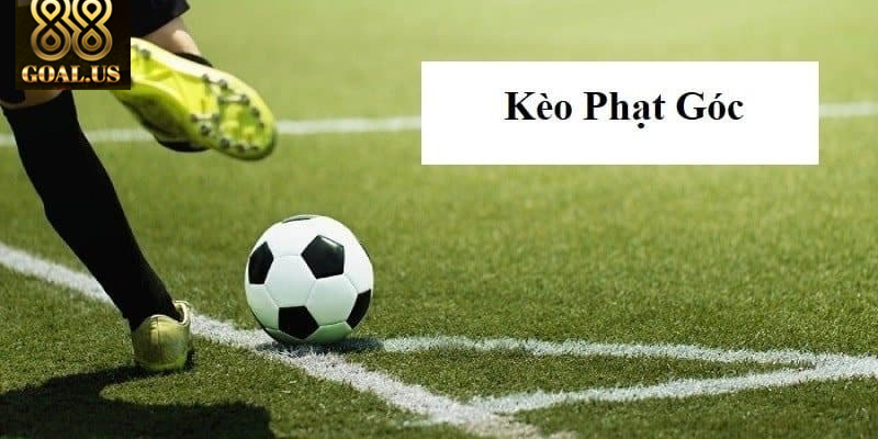 Tìm Hiểu Kèo Phạt Góc Là Gì Và Cách Chơi Tại 88goals Cách đọc kèo phạt góc đơn giản để tăng tỷ lệ thắng cược